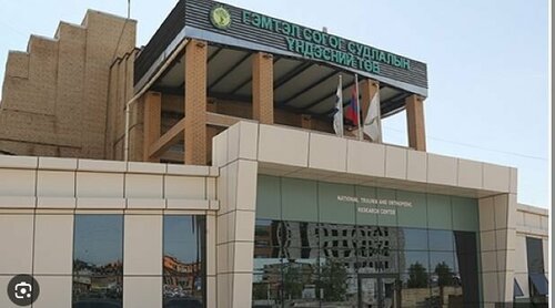 Хурдны замд осолд орсон 14 иргэнээс хоёрынх нь бие хүнд байна